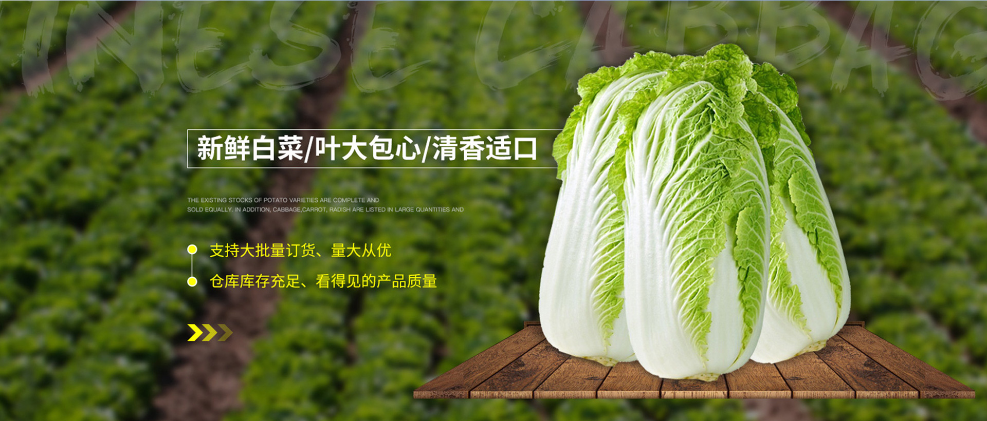 山东航佳进出口有限公司