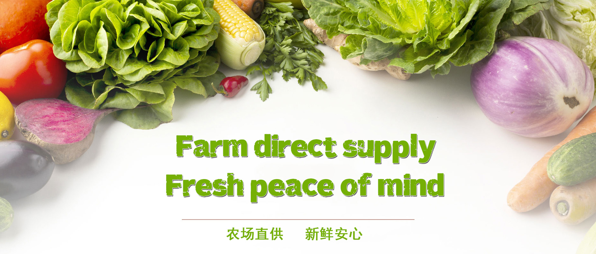 山东航佳进出口有限公司