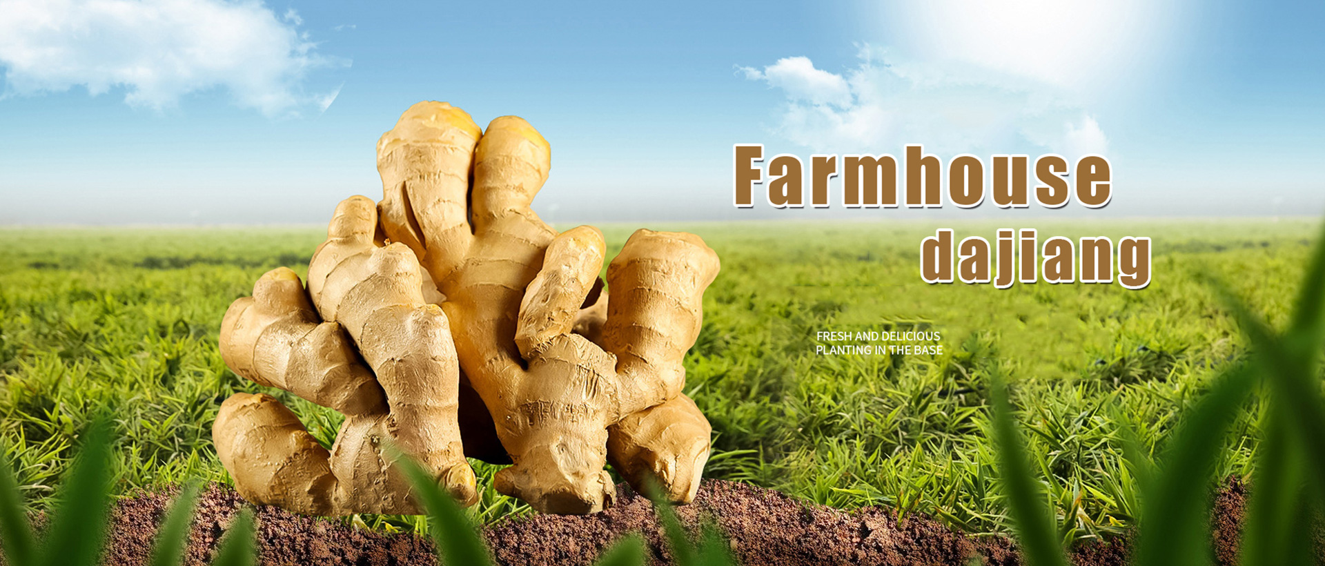 山东航佳进出口有限公司